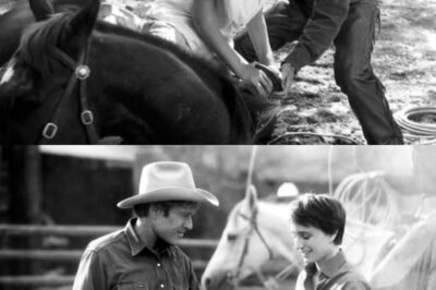 ROBERT REDFORD’S SHOCKING HORSE WHISPERER REVELATION: THE SECRET THAT CHANGED HIS SOUL FOREVER — HOLLYWOOD LEGEND ADMITS HE NEVER SAW HORSES THE SAME AGAIN!