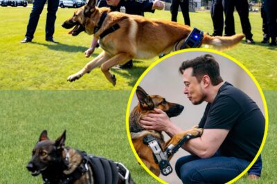 MUSK’S MIRACLE: Billionaire Secretly Donates Millions to Save Injured Police Dogs
