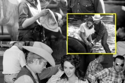 Robert Redford and the Lessons of the Horse Whisperer