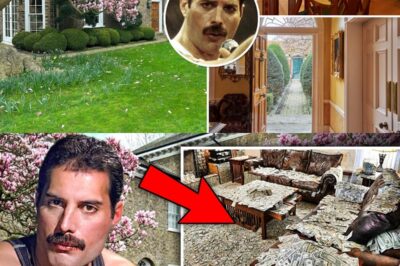 WHAT THEY FOUND INSIDE FREDDIE MERCURY’S LONDON HOME LEFT FRIENDS STUNNED—THE SECRET LIFE BEHIND THE GREEN DOOR!