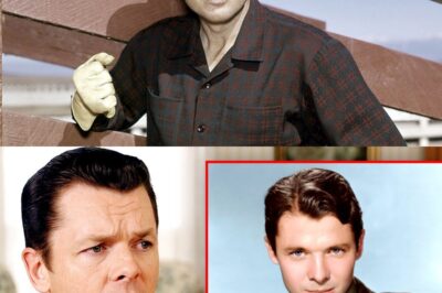 AT 73, AUDIE MURPHY’S SON BREAKS HIS SILENCE: THE SHOCKING TRUTH ABOUT AMERICA’S MOST DECORATED HERO—THE HAUNTED LIFE BEHIND THE MEDALS