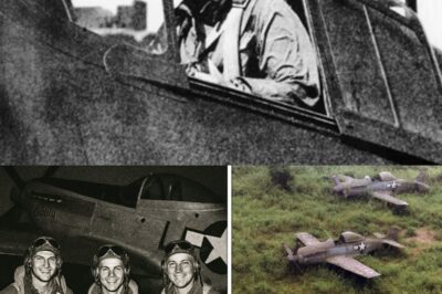  THEY MADE US DISAPPEAR: The SHOCKING Truth Behind Three Vanished WWII Pilots—And The Secret That Terrified America For 75 Years