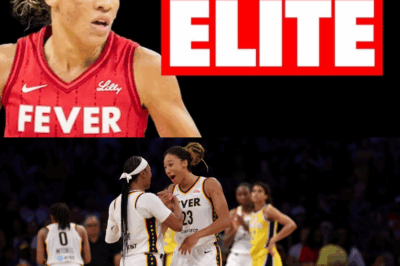This Hardship Player Could Be The KEY To The Fever WINNING In The Playoffs