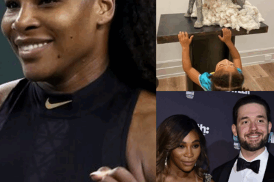 SH*CKING MOMENT: Serena Williams’ Husband Alexis Ohanian Rushes to Her Defense After Criticism for Displaying Cotton Artwork in Their Miami Home