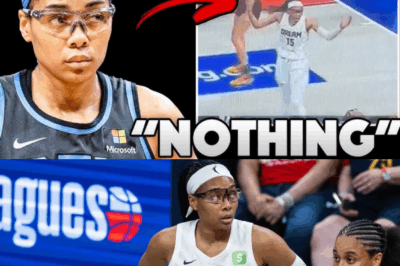 It’s Been Revealed WHY Allisha Gray Got Fever Fan KICKED OUT Of Playoff Game