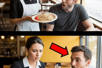 Waitress Gave Leftover Food to an Undercover Boss… The Next Morning His Lawyer Knocked!