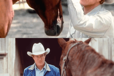 Early morning in Montana, Robert Redford stood alone in the corral, facing a horse that refused to cooperate during The Horse Whisperer’s filming.