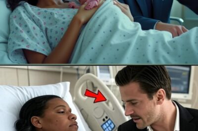 Millionaire Rejected His Maid’s Baby—Until He Saw the Child’s Color!