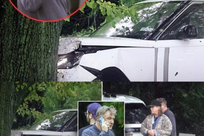 “Alec Baldwin’s Year Ends in Disaster: Shocking Tree Crash Caught on Camera — Inside the Scandals, Secrets, and Shattered Silence That Rocked Hollywood’s Most Controversial Star”