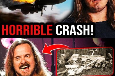 The TERRIFYING Last Minutes of Lynyrd Skynyrd