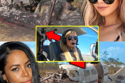 “THE ILLEGAL FLIGHT THAT KILLED AALIYAH”: DRUGGED PILOT, FAKE CHECKRIDE, OVERLOADED PLANE — THE UNTOLD SHOCKERS BEHIND A STAR’S FINAL MINUTES