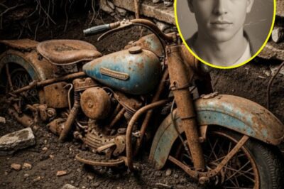 Missing Since 1953: The Shocking Secrets Buried With a War Hero’s Harley-Davidson—A Cold Case That Rocked America