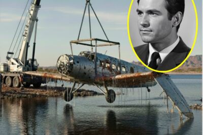 “GHOST PLANE UNDERWATER: Missing Pilot’s Aircraft FOUND After 66 YEARS in Arizona Lake — What Divers Saw Inside SH0CKED Investigators”