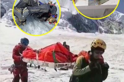  Frozen Time Capsule on Peru’s Tallest Peak: The Shocking Discovery of a Missing American Climber — ID, Passport, and Boots Perfectly Preserved as Melting Glacier Gives Up a 22-Year Secret
