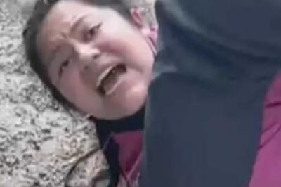 This Is Crazy”: MSNBC Panel Erupts, Torches ICE Over “Thuggish” School Raid—Outrage Live on Air as Hosts Demand Answers, Parents Cry Foul, and a District Scrambles to Explain.