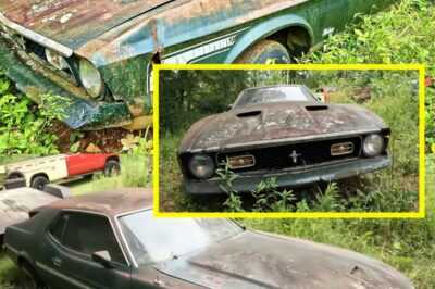 “$600 Mustang FOUND After 40 Years — Owner Said ‘Ran When Parked.’ You Won’t Believe What Happened Next!”