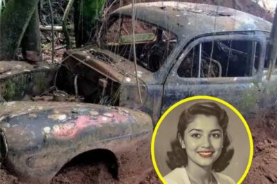 Buried Truth: Missing Texas Secretary Found After 73 Years Beneath a Forgotten Ranch