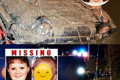 We Finally Found Her Car After 23 Years — The Mystery of Samantha Hopper and Her Two Children