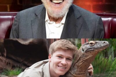 Dick Van Dyke’s Emotional Letter Brings the Irwin Family to Tears