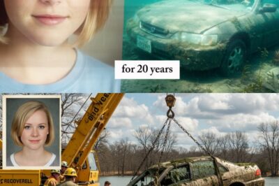 20 Years Lost Beneath the Waves: The Chilling Discovery That Solved Michigan’s Most Enduring Mystery