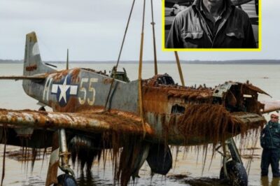 WWII Hero Vanished Into Thin Air — 18 Years Later, Divers Found His Plane Resting Upright in the Lake