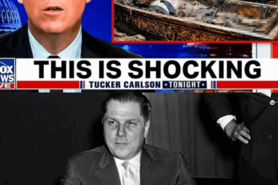 The Latest Update On Jimmy Hoffa Leaves Everyone Sh0cked…