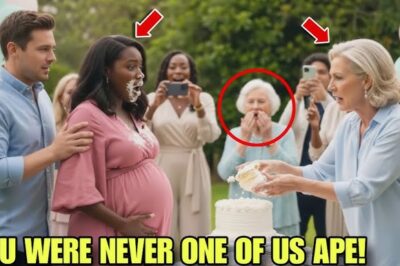 Mother-in-Law Insulted Black Daughter-in-Law—Payback Left Guests Speechless!