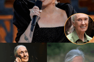 The lights dimmed at London’s O2 Arena and the crowd held its breath. Adele took the stage, dedicating “Someone Like You” to a true icon of kindness: Jane Goodall.
