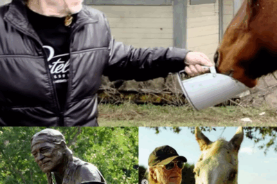 Willie Nelson isn’t just a country legend—he’s a hero for horses, too. On his 700-acre Luck Ranch in Texas, 70 rescued horses once destined for slaughter now run free.