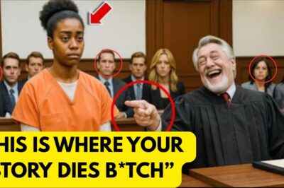 “A Black Woman Speaks 9 Languages?” – Racist Judge Laughs… Then Instantly Regrets It.