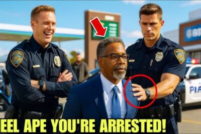 Cops Mock a Black Man at a Rest Stop — Seconds Later, Their Careers Are Over.