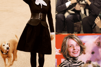 Helen Woodward Animal Center has honored Diane Keaton’s lifelong commitment to animal welfare, remembering her as more than just a Hollywood legend.