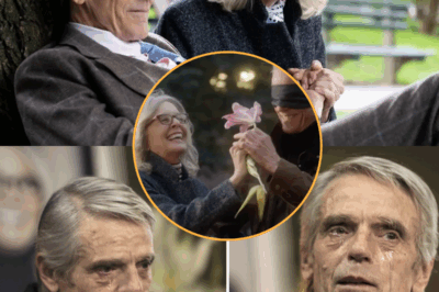 Few moments in film or life are as moving as Jeremy Irons’ farewell to Diane Keaton. At her private funeral in London, Irons stood before loved ones, voice trembling, and whispered a tribute that left the room in tears.