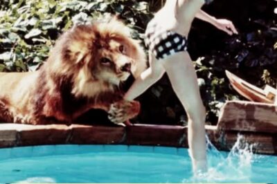 The Most Dangerous Movie Ever Made: Inside the Madness of Roar