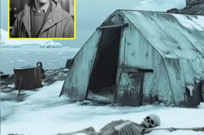 Vanished Marine Biologist Found 27 Years Later — Son Uncovers Shocking Antarctic Secret in a Torn Tent