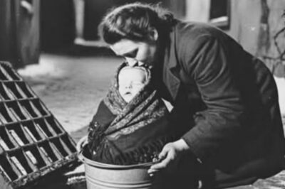 The Bucket of Light: A Mother’s Final Act in the Winter of 1943