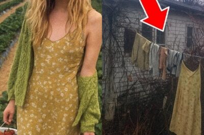 The Yellow Dress on County Road 47: How a Farm Town’s Trusted Fix-It Man Hid a 20-Year Trade in Stolen Daughters