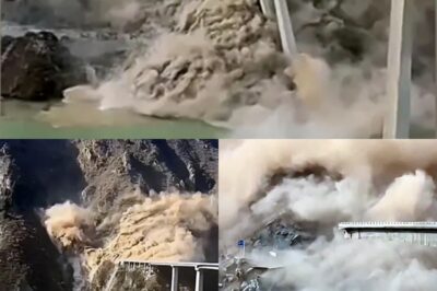 New Chinese Bridge Crumbles Into River Months After Opening