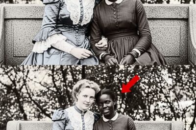 The Smile That Didn’t Survive the X-ray