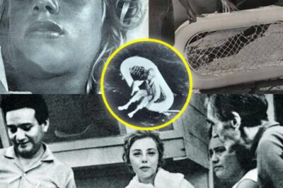 The Girl Left to Die at Sea… and the Secret That Forced Her Killer to Run