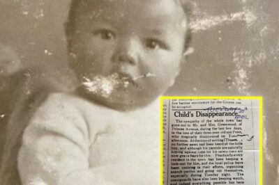 Three-Year-Old Vanished Without a Trace – 80 Years Later, Family Seeks the Truth