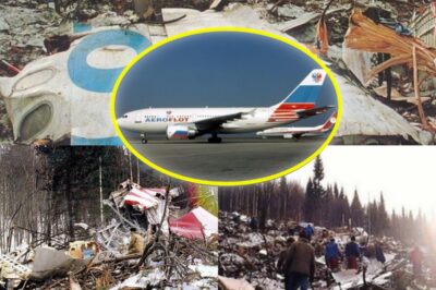 A Child Touched the Controls — 75 Lives Vanished Minutes Later