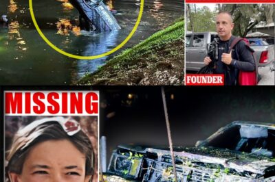 Vanished at the Canal’s Edge: 38 Years, 24 Sunken Cars, 1 Name on a Plate