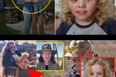 Vanished in the Outback: The Shocking Truth Behind Gus Lamont’s Disappearance
