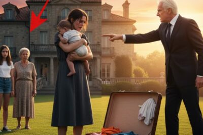 My Husband Died. His Family Took Everything—Until One Hidden Truth Changed Everything.