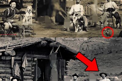 The 1899 Photo That Hides a Century-Old Secret