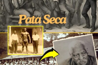 Pata Seca: The 7-Foot Slave Used as a Human Breeding Machine