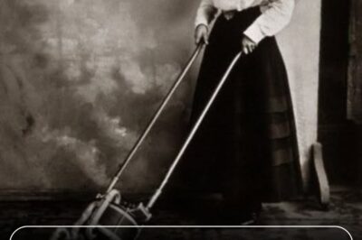 The Woman Who Built a Billion-Dollar Empire Alone