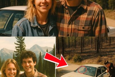 Vanished in the Rockies: 31 Years of Silence Broken in 2024