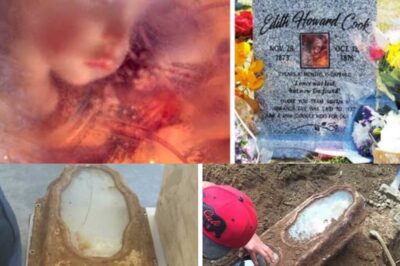 The Little Girl Forgotten for 140 Years: The Mystery of Edith Cook